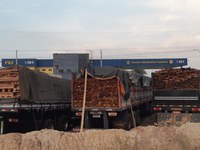 Operação Rotas da Amazônia da PRF apreende mais de 460m³ madeira ilegal no Maranhão