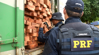 Operação Rotas da Madeira: PRF apreende mais de 482m³ de madeira ilegal no Maranhão