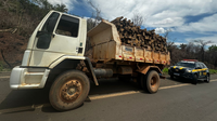 Condutor inabilitado é detido pela PRF com carga ilegal de madeira em Caxias/MA
