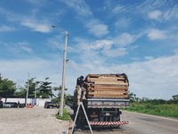 PRF deflagrou operação que apreendeu mais de 300 m³ de madeira ilegal em municípios do Maranhão
