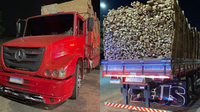 PRF apreende caminhão com mais de 27m³ de madeira ilegal em Açailândia/MA