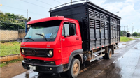 PRF apreende dois caminhões transportando animais de forma irregular na BR-010, em Porto Franco/MA