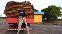 OPERAÇÃO ARCO VERDE II: 78 m³ de madeira ilegal são apreendidos pela PRF no Maranhão