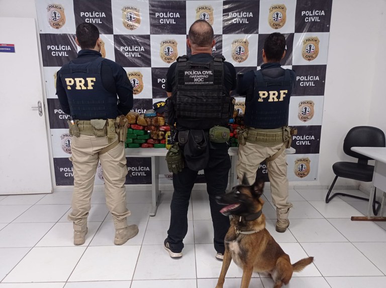Apreensão de drogas realizada pela PRF e PC-MA no Maranhão