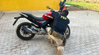 PRF recupera moto com sinais de adulteração em Imperatriz (MA)