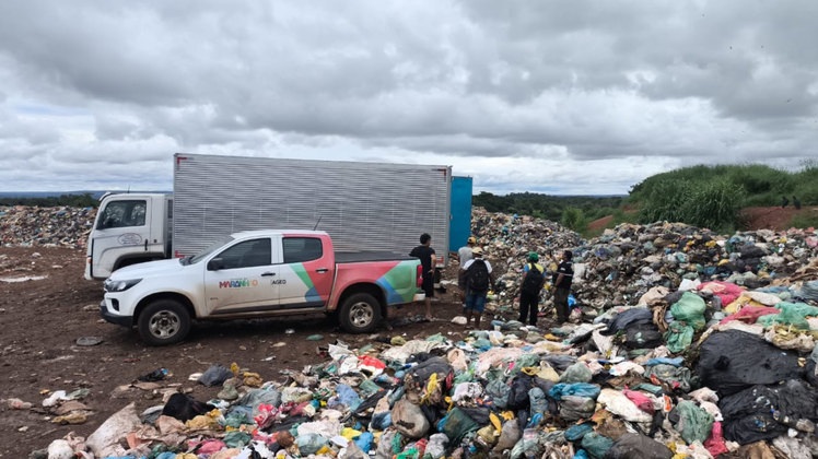 Equipes da AGED realizaram a inutilização e o descarte adequado da carga.