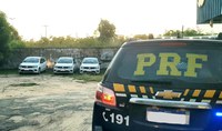 PRF recupera 10 veículos e desmonta esquema criminoso