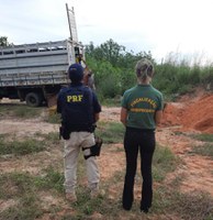 PRF apreende 3.500Kg transportado ilegalmente em Caxias/MA