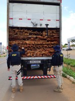 PRF apreende 36m³ de madeira transportada ilegalmente na BR 230