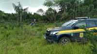 PRF recupera em uma mata fechada veículo roubado em São Luís