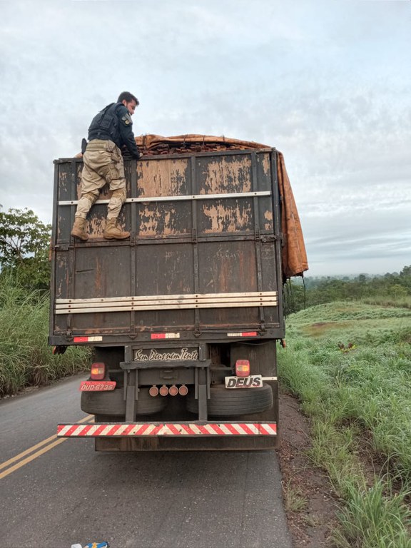 PRF fiscaliza madeira transportada em uma rodovia estadual.jpeg