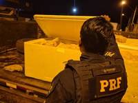 PRF apreende 400kg de frango transportado ilegalmente na BR-010