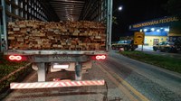 Apreendidos mais de 70m³ de madeira ilegal na região tocantina do estado