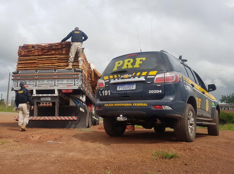 Mais de 300m³ apreendidos durante a operação no Maranhão