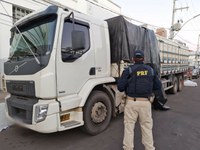PRF apreende caminhão que transportava bovinos sem nota fiscal na BR-316