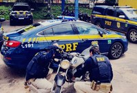 PRF detém condutor de motocicleta adulterada em São Luís