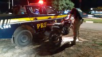 PRF apreende motocicleta clonada na BR-230