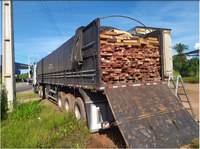 PRF apreende um total de 341m³ de madeira ilegal na BR-316