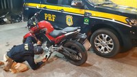 BR-316: PRF recupera motocicleta furtada em Santa Bárbara do Pará/PA