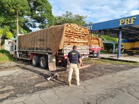 PRF apreende 25m³ de madeira ilegal na BR 316