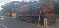 PRF apreende mais de 25m³ de madeira transportada ilegalmente