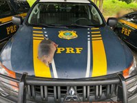 Crime ambiental: PRF flagra homem transportando animal silvestre morto em Caxias/MA