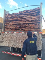 Fiscalização da PRF apreende 30m³ de madeira transportada ilegalmente na BR-316