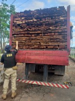 PRF apreende 24m³ de madeira transportados ilegalmente na BR-010