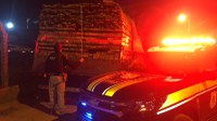 Carregamento ilegal de madeira é apreendido pela Polícia Rodoviária Federal em Balsas/MA