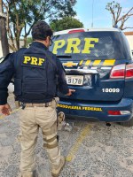 Polícia Rodoviária Federal prende sete condutores dirigindo sob influência de álcool nesse final de semana no Maranhão