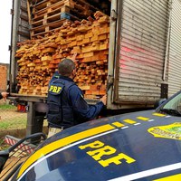 PRF no Maranhão apreende 83 m³ de madeira ilegal em apenas 12 horas de fiscalização