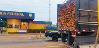 PRF apreende carregamento ilegal de madeira na BR-010 em Imperatriz/MA