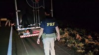 PRF prende em Bataguassu (MS) caminhoneiro com mandado de prisão em aberto