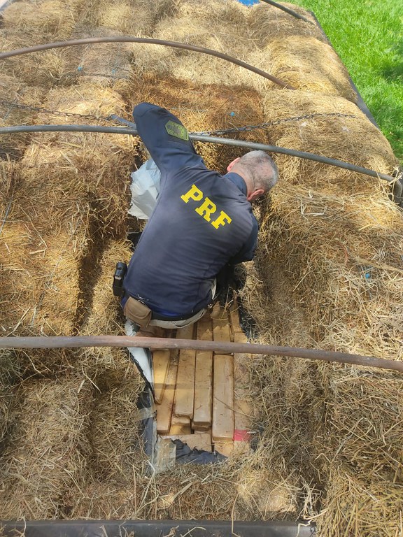 PRF apreende 7,5 toneladas de maconha em Nova Alvorada do Sul (MS)