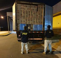 PRF apreende 400 mil maços de cigarros e 3 toneladas de agrotóxicos em Eldorado (MS)