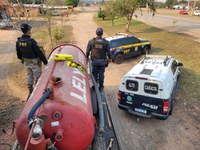 PRF e PM apreendem 1,3 tonelada de maconha em Caracol (MS)