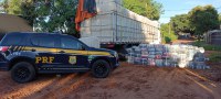 PRF apreende 1,8 tonelada de maconha em Campo Grande (MS)