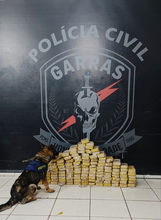 Com ajuda de cães farejadores, PRF e GARRAS apreende 126,9 Kg de cocaína em Campo Grande (MS)