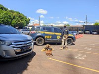 PRF apreende 41 Kg de pasta base de cocaína em Campo Grande (MS)