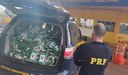 PRF apreende 285 Kg de cocaína em Ponta Porã (MS).jpg