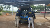 PRF apreende 182,7 Kg de cocaína em Paranaíba (MS)