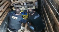 PRF e PC apreendem 3,8 toneladas de maconha e 35 Kg de pasta base de cocaína em Campo Grande (MS)