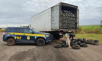 PRF apreende mil unidades de pneus novos sem nota fiscal em Naviraí (MS)