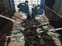 PRF apreende 276 Kg de cloridrato de cocaína em Mundo Novo (MS)