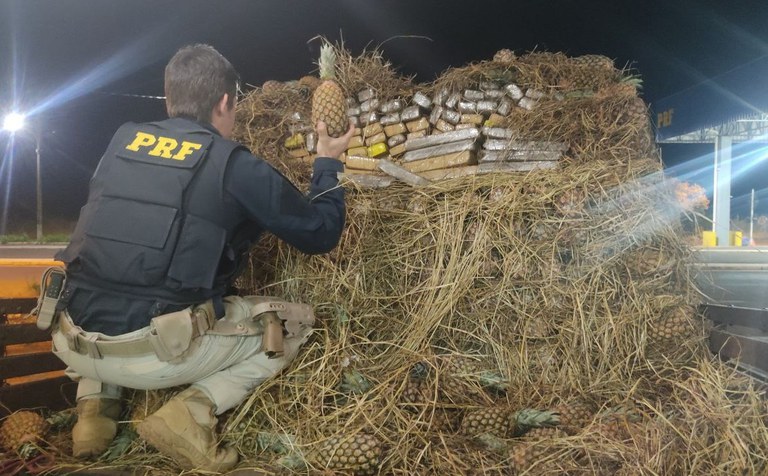 PRF apreende 844 Kg de maconha e skunk sob carga de abacaxis em Ponta Porã (MS)