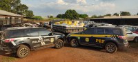 PRF e DENAR interceptam duas quadrilhas com 5,4 toneladas de maconha e onze veículos após ações conjuntas no Mato Grosso do Sul