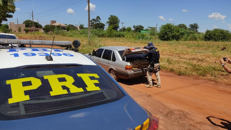 PRF apreende 502 Kg de maconha em Nova Alvorada do Sul (MS)