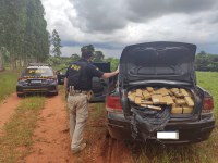 PRF apreende  616,5 Kg de maconha e 2,3 Kg de skunk em Nova Alvorada do Sul (MS)