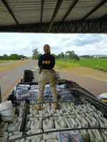 PRF apreende em Caarapó (MS) 9.600 litros de agrotóxicos contrabandeados