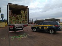 PRF apreende 500 mil maços de cigarros contrabandeados em São Gabriel Do Oeste (MS)